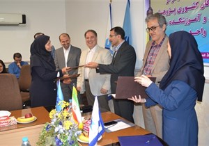 معلمان تفکر مهارتآموزی را فرهنگسازی کنند